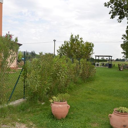 La Casa Di Nonna Armida Villa Castiglion Fiorentino Bagian luar foto